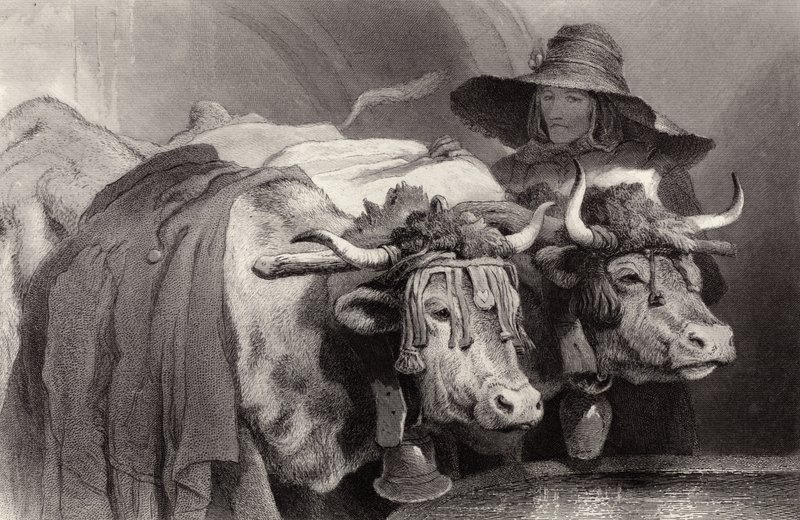 Buoi alla cisterna, Ginevra, Svizzera da Edwin Landseer