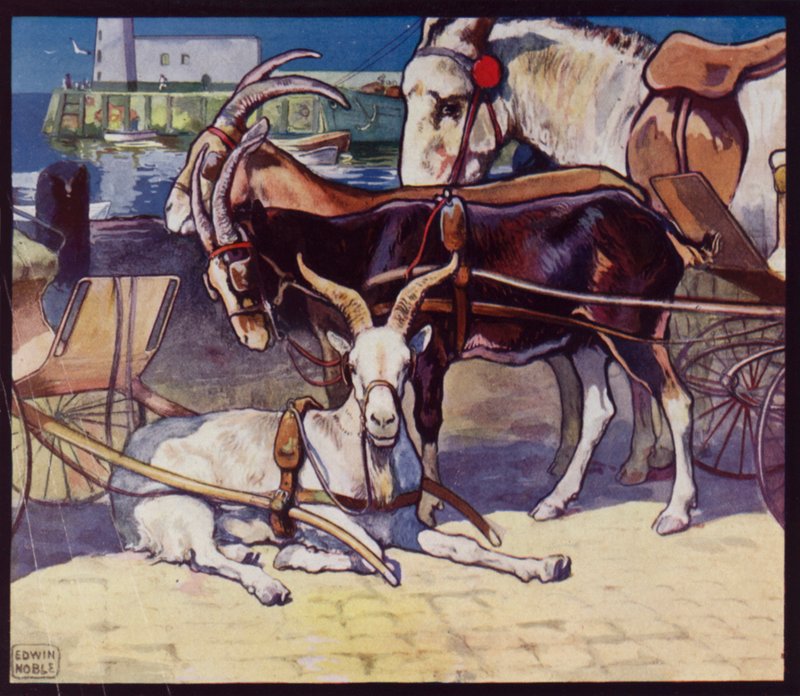 Carretti di capre da Edwin Noble