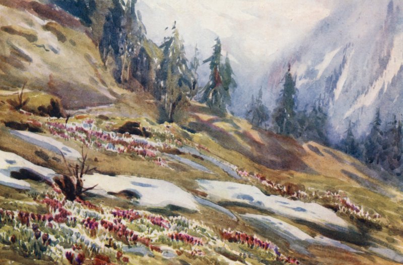 Svizzera da Effie Jardine