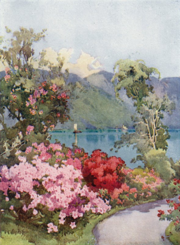 Azalee, Lago di Como da Ella Du Cane