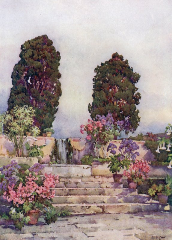 Giardini Botanici, Orotava da Ella Du Cane