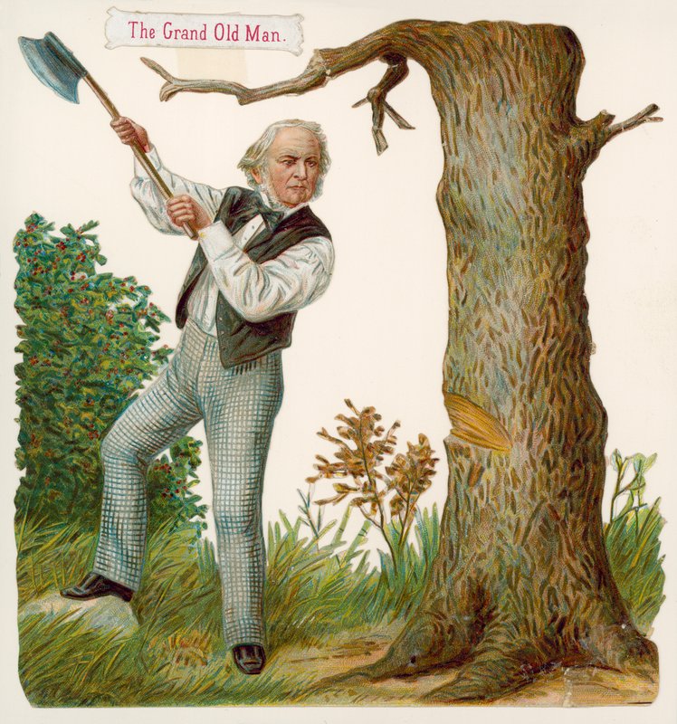 Il grande vecchio da English School