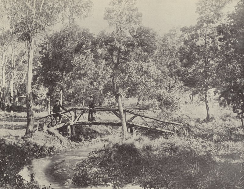 Un ponte rustico, riserva idrica di Ballarat da English Photographer