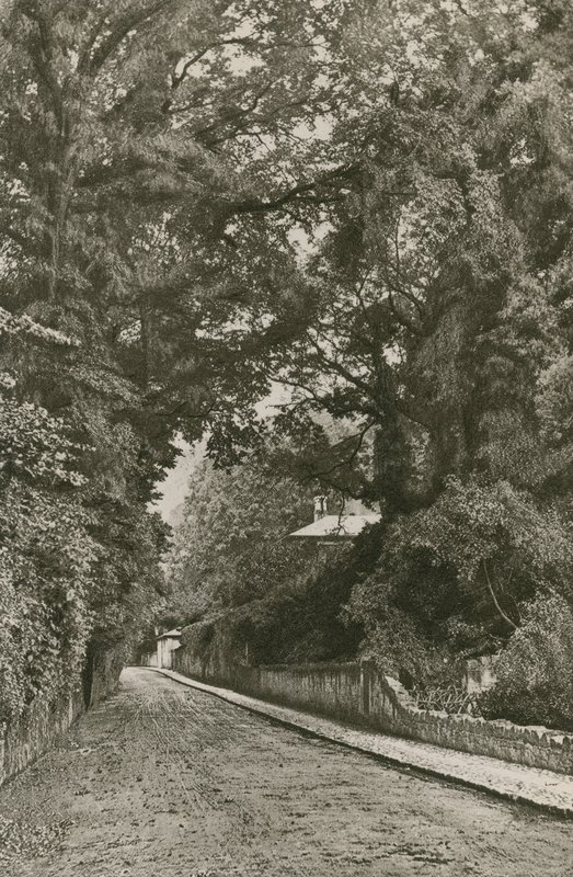 Bonchurch Road, Isola di Wight da English Photographer