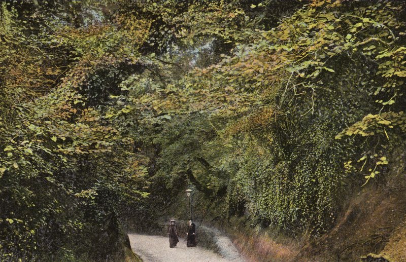 Chine Hollow, Shanklin da English Photographer