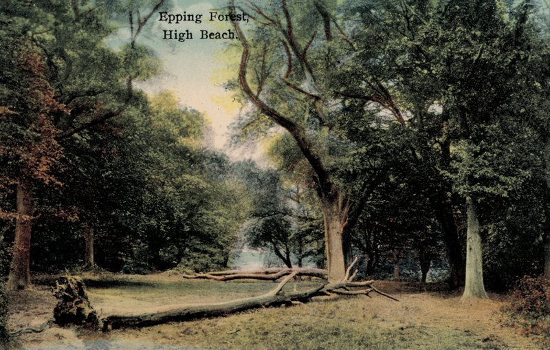 Epping Forest, High Beach da English Photographer