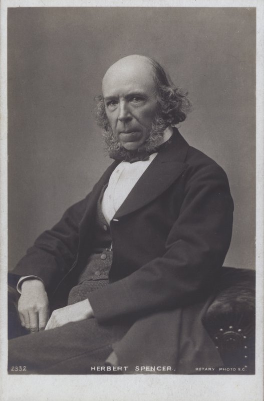 Herbert Spencer da English Photographer