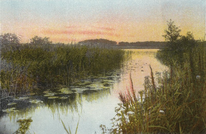 Hoveton Broad da English Photographer