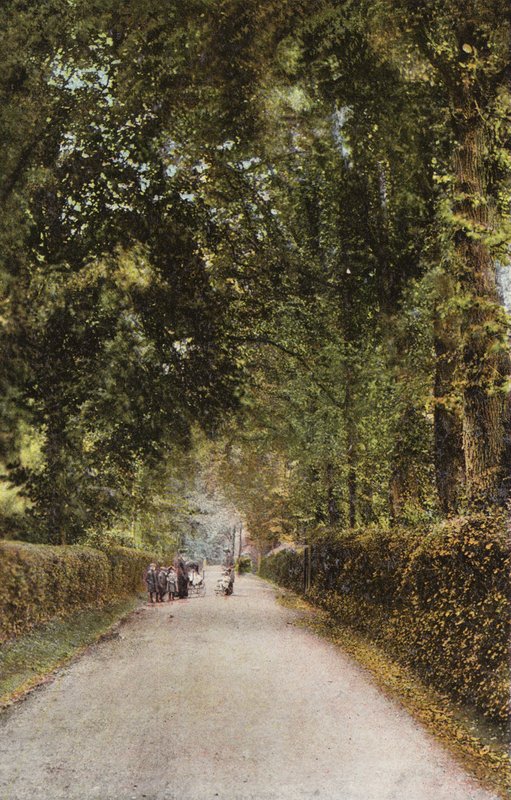 Spencer Road, Ryde da English Photographer