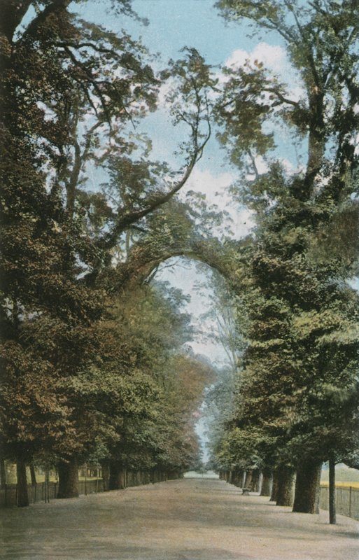 Il Viale Lungo da English Photographer