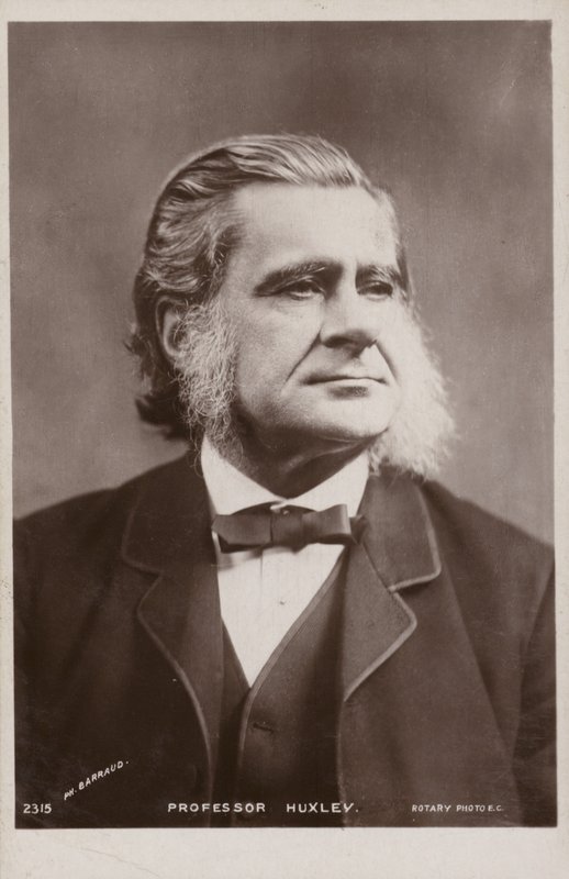 Thomas Henry Huxley da English Photographer