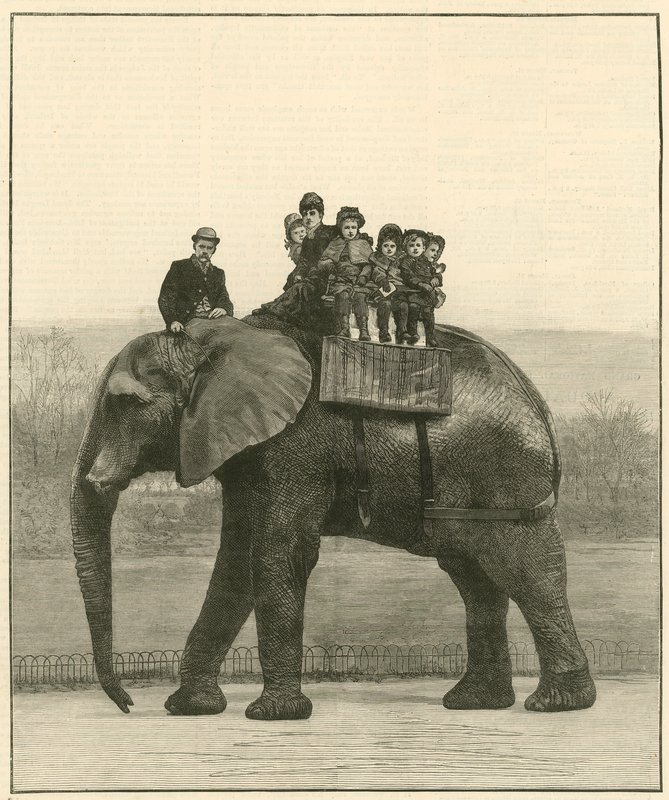 Un addio a cavallo di Jumbo da English School