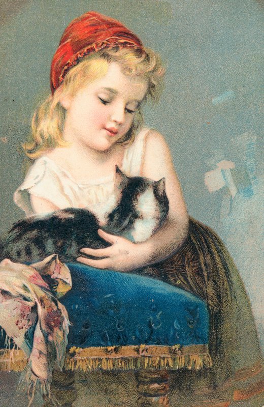 Una giovane ragazza che posa con un gatto da English School