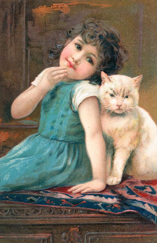Una giovane ragazza che posa con un gatto da English School