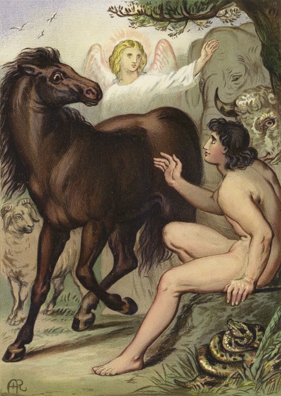 Adamo nomina gli animali da English School
