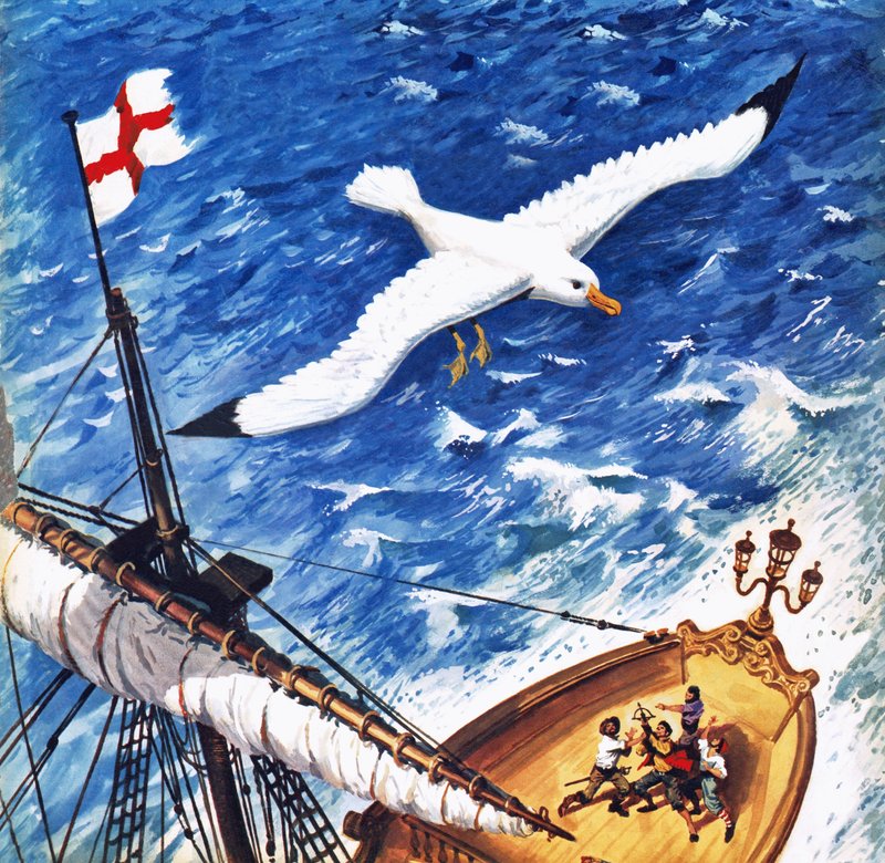 Albatros da English School