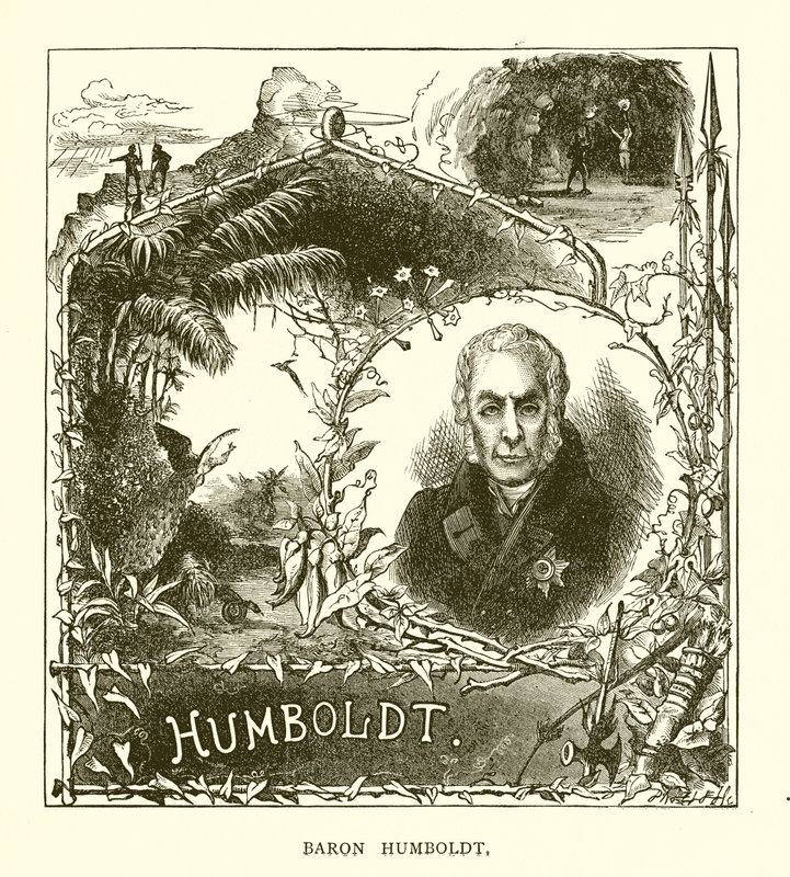 Barone Humboldt da English School