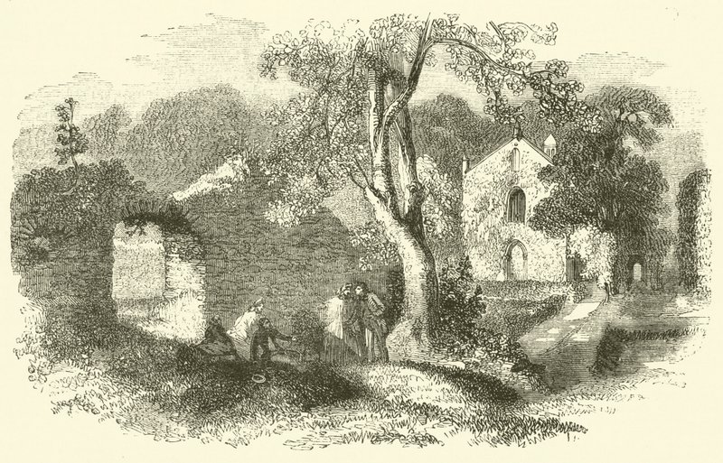 Abbazia di Bindon da English School