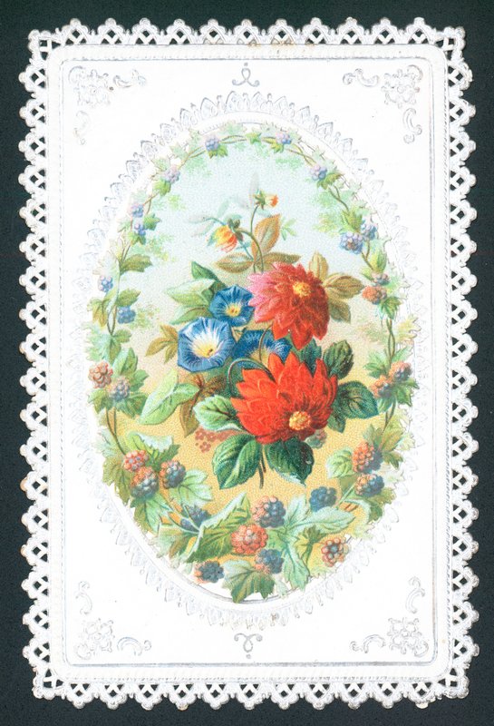 More e fiori da English School