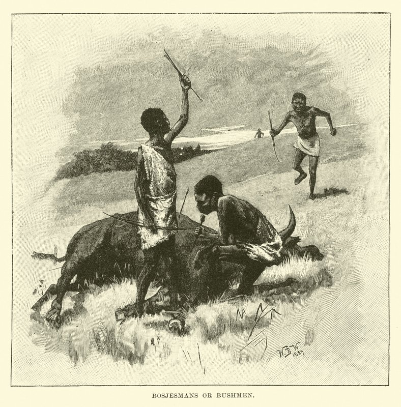 Boscimani o Bushmen da English School