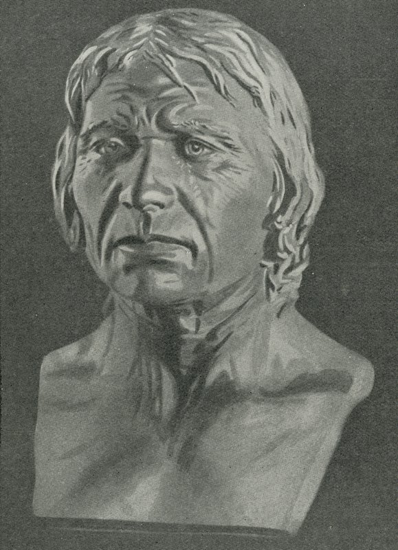 Busto di un uomo di Cro-Magnon da English School