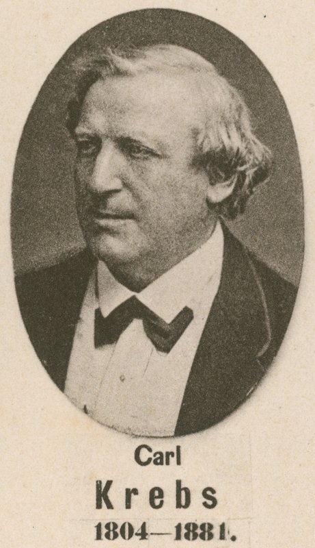 Carl Krebs da English School