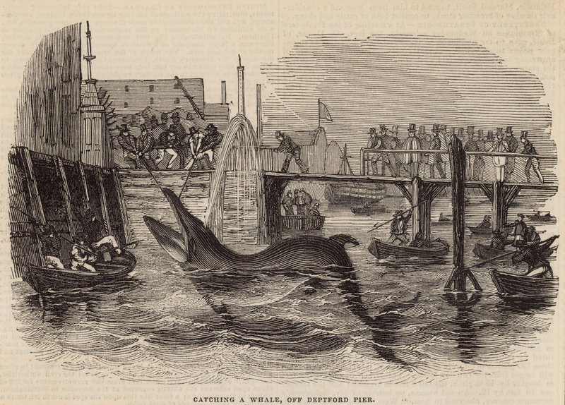 Caccia a una balena al molo di Deptford da English School