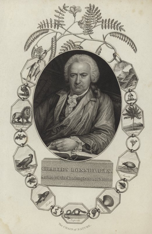 Charles Bonnet da English School