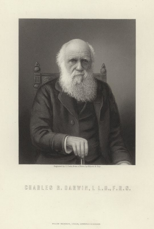 Charles R. Darwin da English School