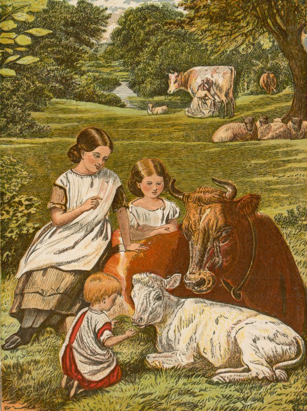 Bambini che giocano con mucca e vitello da English School