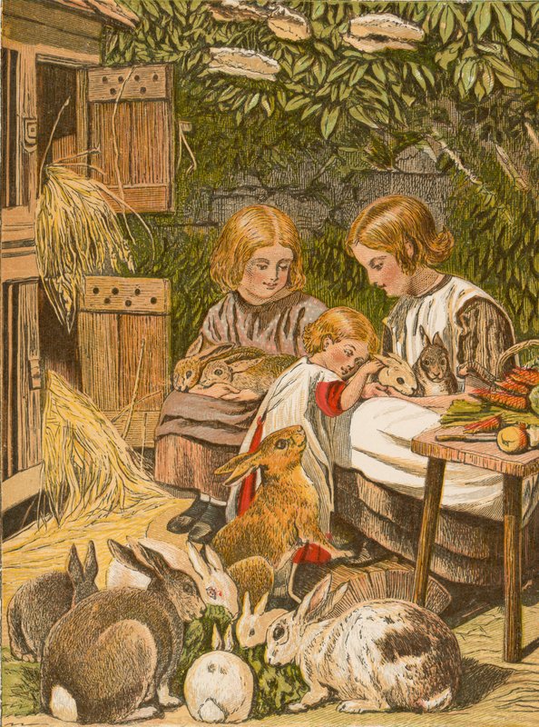 Bambini con i loro coniglietti da English School