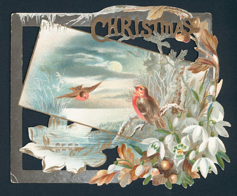 Cartolina di Natale con due pettirossi da English School