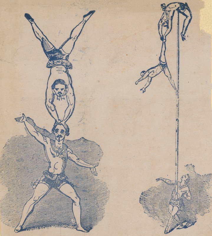Acrobati del circo da English School