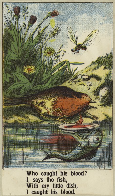Cock Robin da English School
