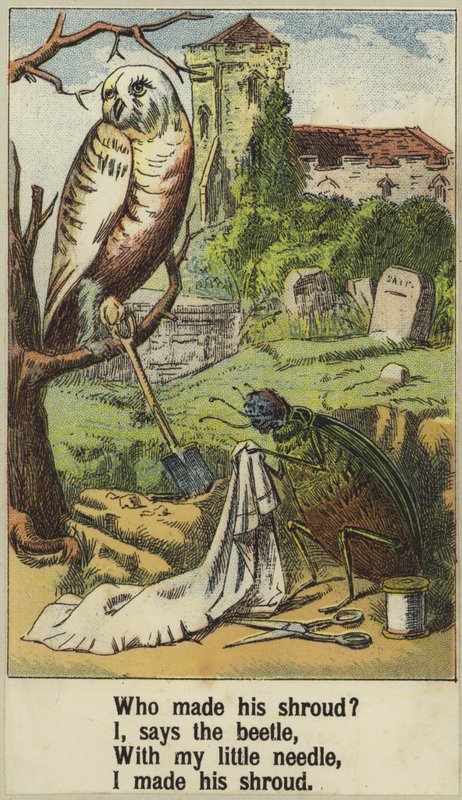 Cock Robin da English School
