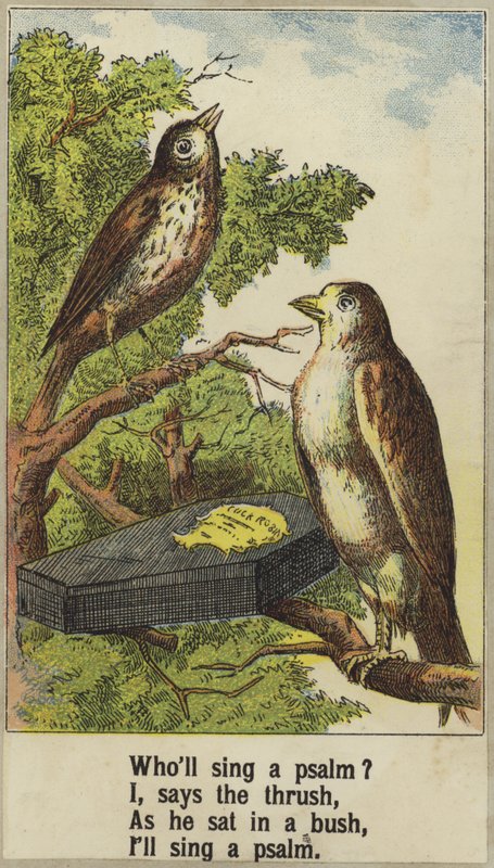 Cock Robin da English School