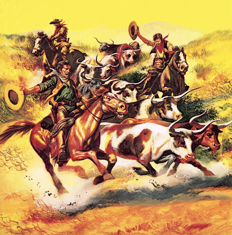 Cowboy da English School