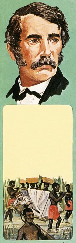 David Livingstone, esploratore da English School