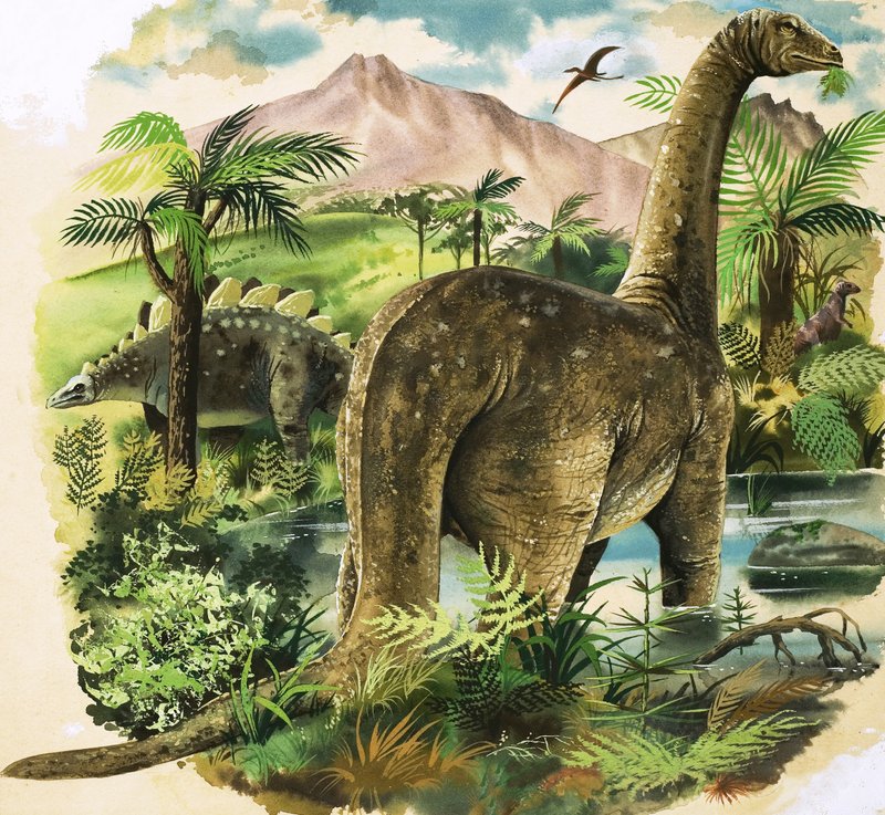 Dinosauri da English School