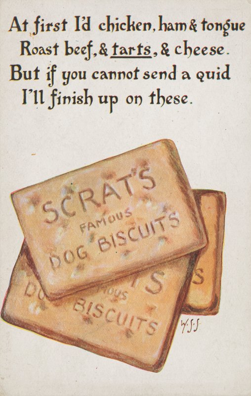 Biscotti per cani da English School
