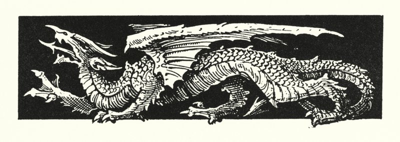 Drago (incisione) da English School