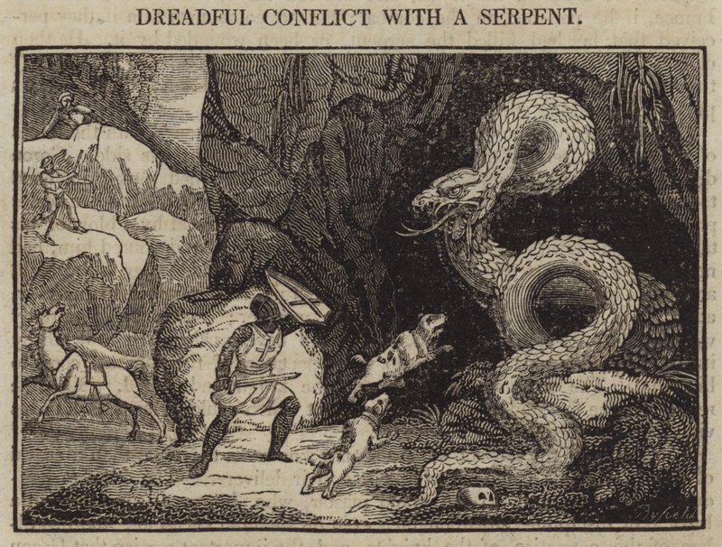 Terribile conflitto con un serpente da English School