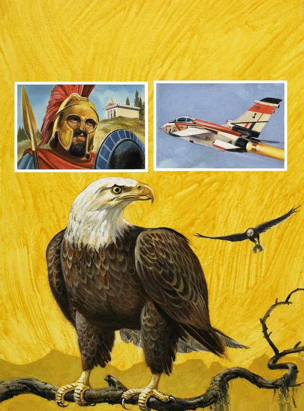 Aquila da English School