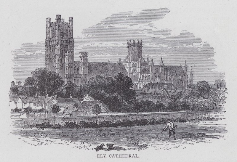 Cattedrale di Ely da English School