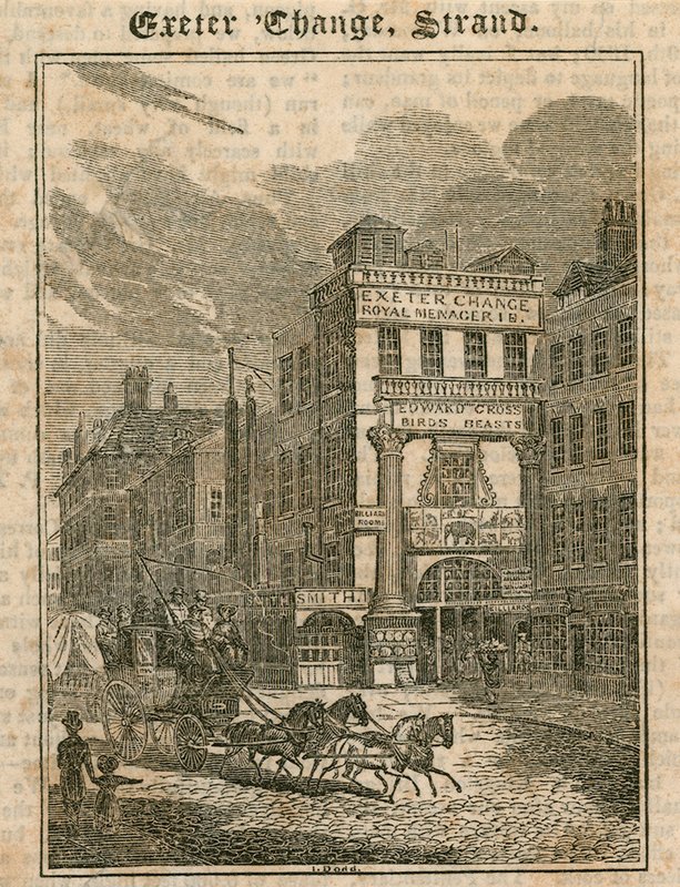 Exeter Change, The Strand, Londra da English School