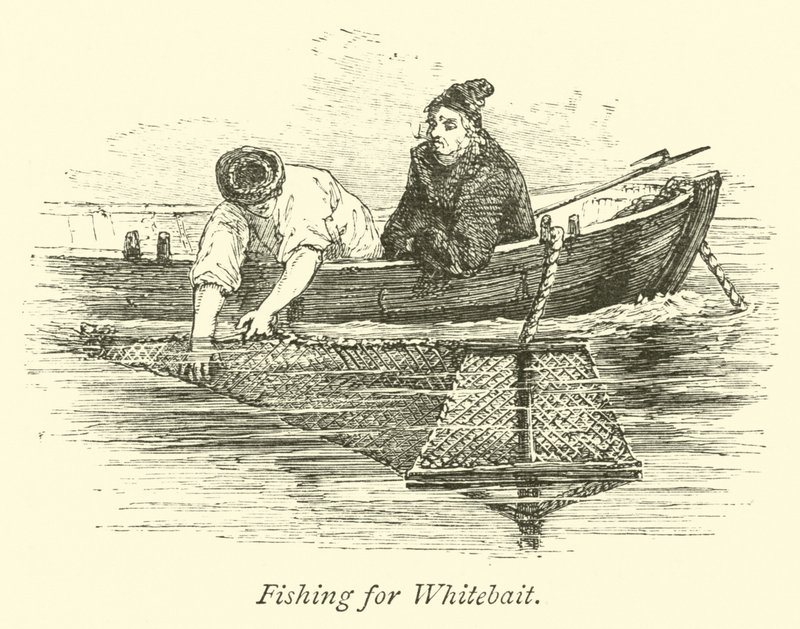 Pesca di Bianchetti da English School