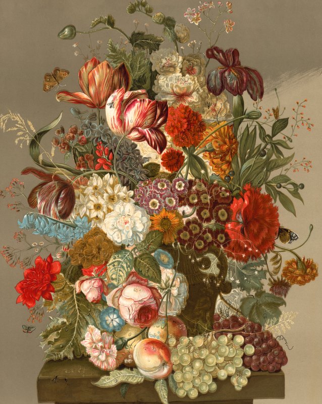 Esposizione floreale da English School
