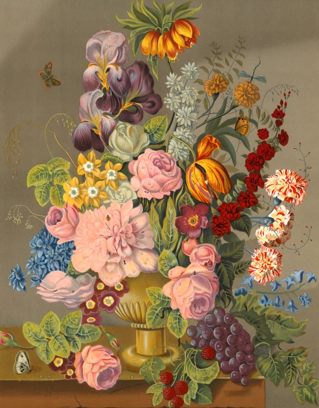 Esposizione floreale da English School