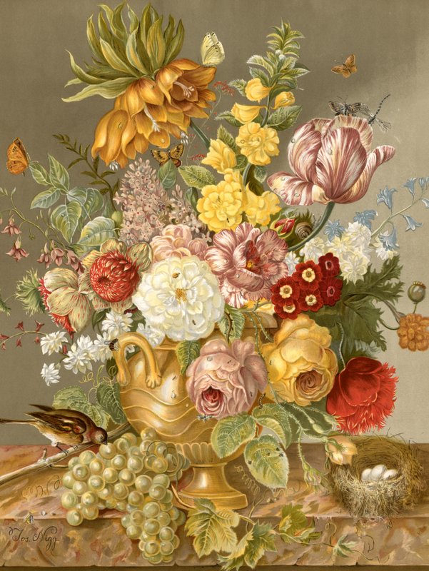 Esposizione floreale da English School