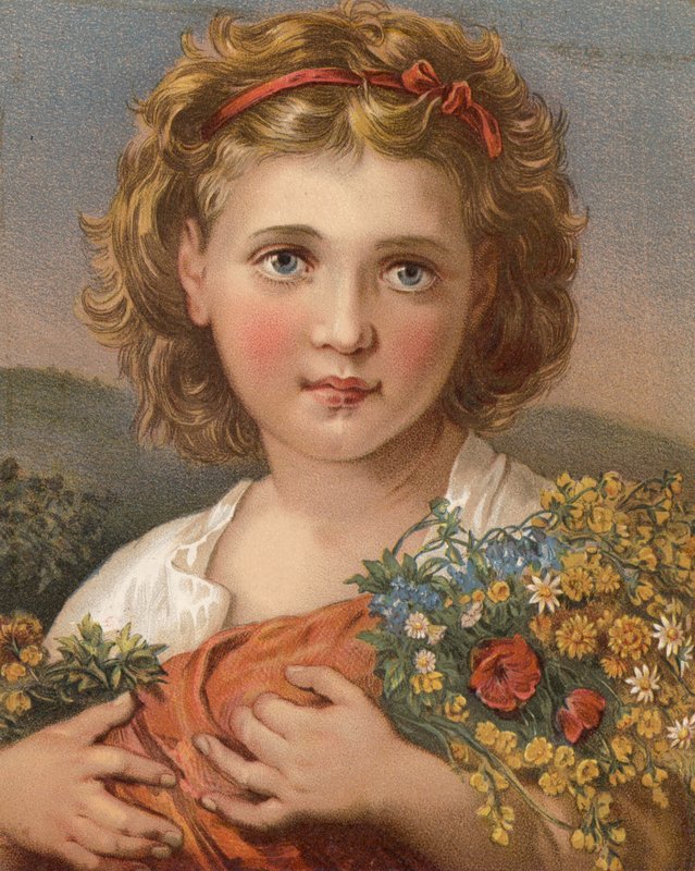 Fiori del campo da English School